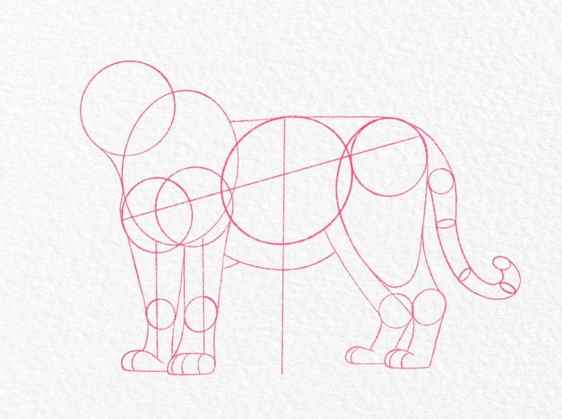 LINE PC 版无法登录?“连接服务器失败”的排查方法